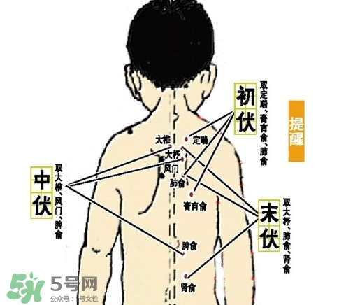 做完三伏灸要注意什么事,做完三伏灸要注意什么