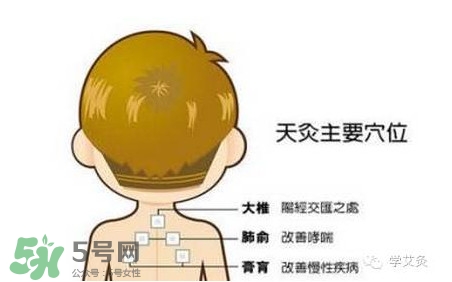 三伏灸是每天都灸吗,三伏天天灸