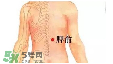 车厘子的营养价值及功效(车厘子的营养价值及功效和作用)