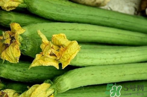 丝瓜的药用价值和功能,丝瓜的药用