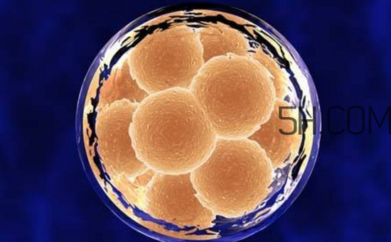 什么是冻胚移植手术?,42岁移植冻胚成功率