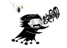 蟑螂的生活习性(蟑螂的生活环境和特征)