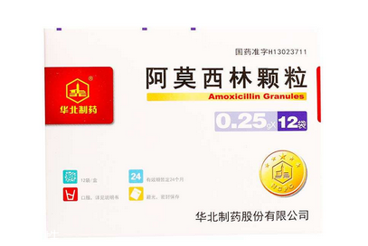 消炎药吃多了会怎样(吃什么消炎 5大最佳消炎食物)