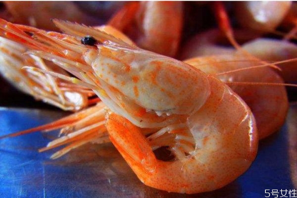 河虾的生长环境是怎么样的呢(河虾生活在什么环境)