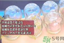 拔罐后的罐印的颜色是什么问题,拔罐印记颜色不同说明了什么 拔罐后的罐印的颜色是什么问题,拔罐印记颜色不同说明了什么