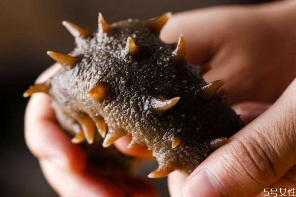 海参怎么吃最好(海参怎么吃最好吃)