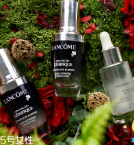 佛系精华推荐(佛系还有什么系列)