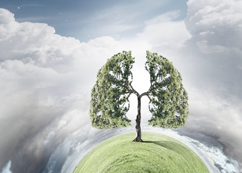 粘白痰是热是寒,痰很粘稠是风热还是风寒