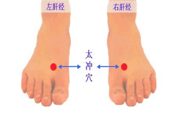 关于养肝护肝的知识,养肝护肝注意什么 关于养肝护肝的知识,养肝护肝注意什么