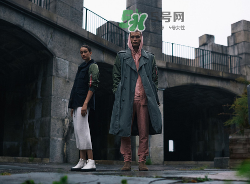 阿尔法品牌介绍,阿尔法是什么品牌