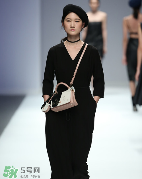 迪桑娜品牌简介,迪桑娜旗下有哪些品牌