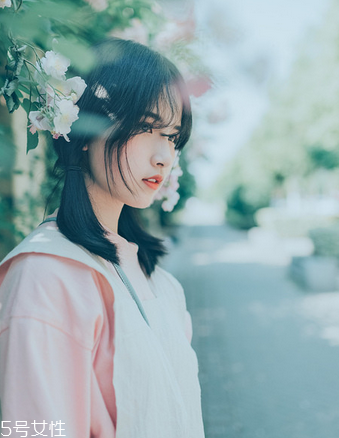 鹿胎膏服用注意(服用鹿胎膏的注意事项) 鹿胎膏服用注意(服用鹿胎膏的注意事项)