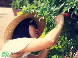 杨梅汁的清洗方法,杨梅汁怎么清洗掉