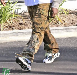 椰子什么样,椰子成长期 椰子什么样,椰子成长期