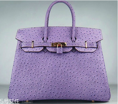 什么是铂金包,星燃铂金包是什么意思