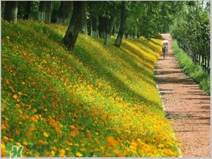 一月份适合去浙江吗,现在可以去浙江吗12月 一月份适合去浙江吗,现在可以去浙江吗12月