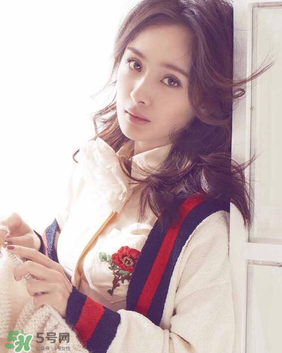 翻译官第二部电视剧,翻译官一共多少集