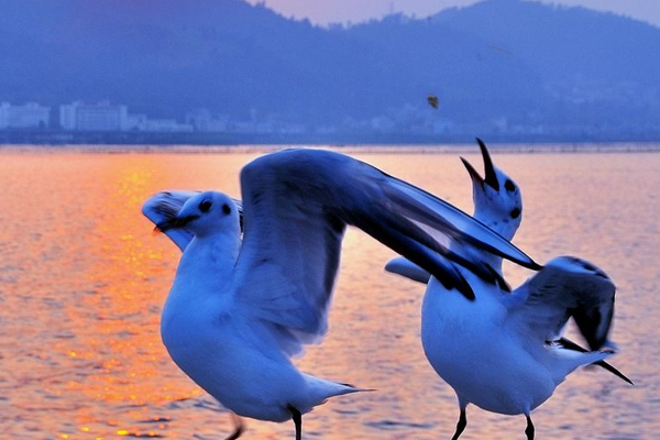 怎样养生?,健康养生方法