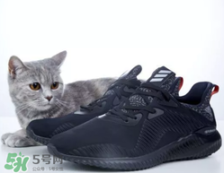 阿尔法小椰子测评,小椰子阿尔法真假对比