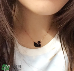 施华洛世奇黑天鹅保养方法,施华洛世奇黑天鹅掉色正常吗