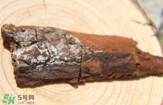 安哥拉树皮怎么服用效果更好,你绝对没听过安哥拉树皮的副作用 安哥拉树皮怎么服用效果更好,你绝对没听过安哥拉树皮的副作用