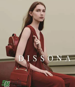 迪桑娜是哪国的品牌,迪桑娜是哪个国家的