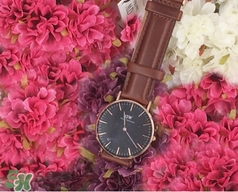 dw手表和卡西欧哪个好,卡西欧dw和gw区别