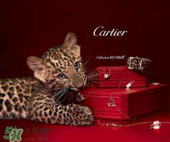 卡地亚戒指是金的吗,卡地亚是金的吗 卡地亚戒指是金的吗,卡地亚是金的吗