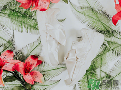 彪马蝴蝶结怎么系,彪马后面有蝴蝶结的是哪款 彪马蝴蝶结怎么系,彪马后面有蝴蝶结的是哪款