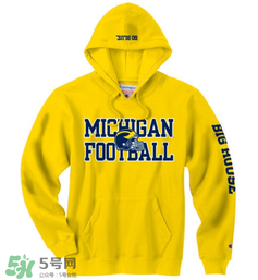 champion什么档次的牌子,champion什么档次的