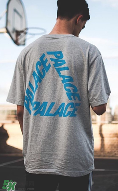 palace是什么档次,palace是什么档次的品牌