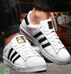 阿迪达斯贝壳头怎么洗,阿迪达斯贝壳头怎么系鞋带