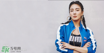 张雨绮同款卫衣,张雨绮同款毛衣