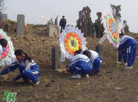 清明节穿什么衣服合适,清明前后穿什么衣服