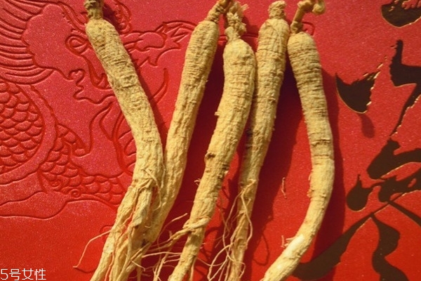 人参适用哪些人群,人参适宜人群