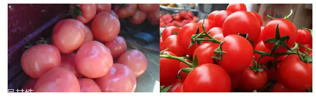 买菜小窍门(买菜小窍门)