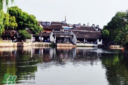 去浙江需要带什么东西,现在去浙江需要注意什么