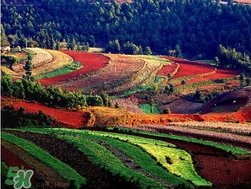 3月份去云南穿什么衣服合适,3月份去云南穿什么衣服 3月份去云南穿什么衣服合适,3月份去云南穿什么衣服