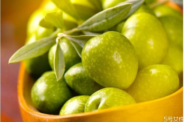 橄榄的生长环境是怎么样的呢(橄榄生长环境条件)