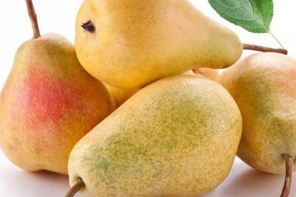 梨子煮熟吃的功效和作用,煮熟的梨子有什么功效 梨子煮熟吃的功效和作用,煮熟的梨子有什么功效