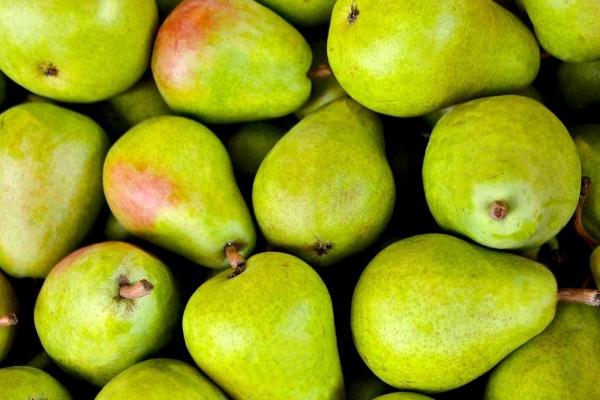 梨子有点酸了还能吃吗,梨子发酸还能吃吗