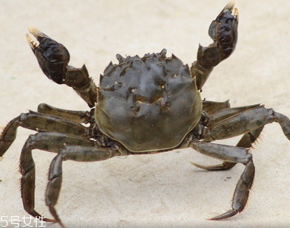 蜘蛛痣不能吃什么(蜘蛛痣不能吃什么)