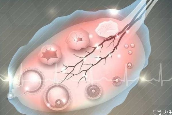 女性更年期需要干预吗(女性到了更年期需不需要调理?)