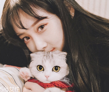 更年期食疗(更年期食疗最佳食谱)