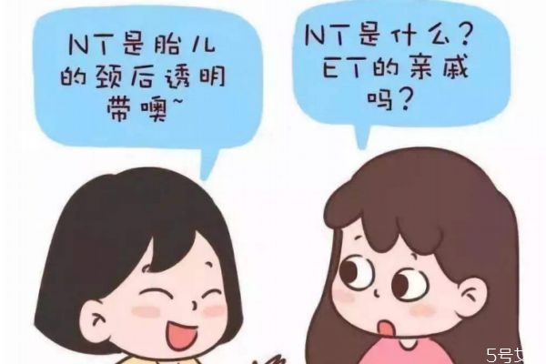 nt检查是什么时候做最合适,nt检查要什么时候
