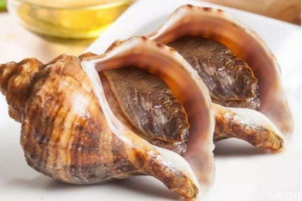 正确清洗海螺的步骤(清洗海螺的最佳方法) 正确清洗海螺的步骤(清洗海螺的最佳方法)