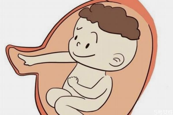 肚子里的宝宝什么时候睡觉,宝宝什么时候自己睡觉