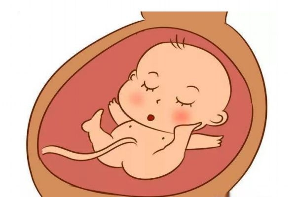 胎动什么频率正常,胎动什么样算频繁