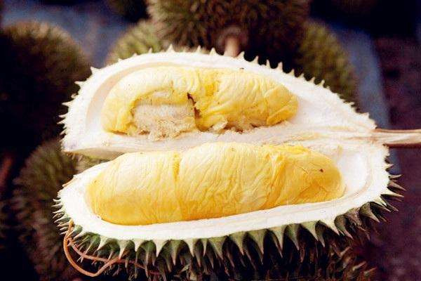 什么品种的榴莲最好吃(什么品种的榴莲最好吃?)