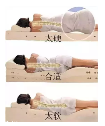 我们到底该睡什么样的床(睡什么样的床比较好)